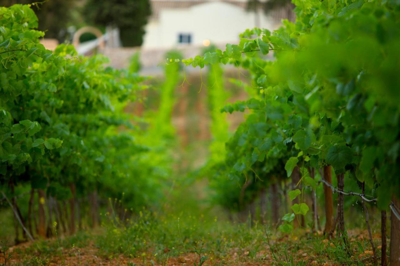 Quinta Dos Vales Wine Estate Vendégház Estômbar Kültér fotó